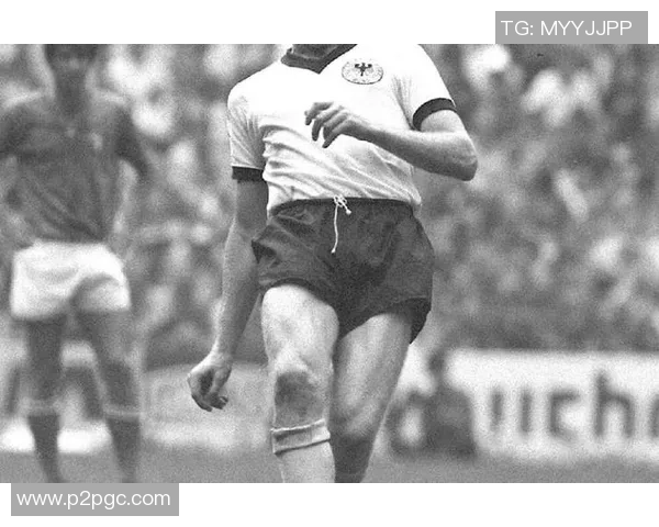 与足球球星共同成长的日子 我的球场梦想与他们并肩前行