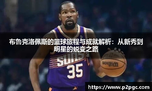 DB旗舰官网
